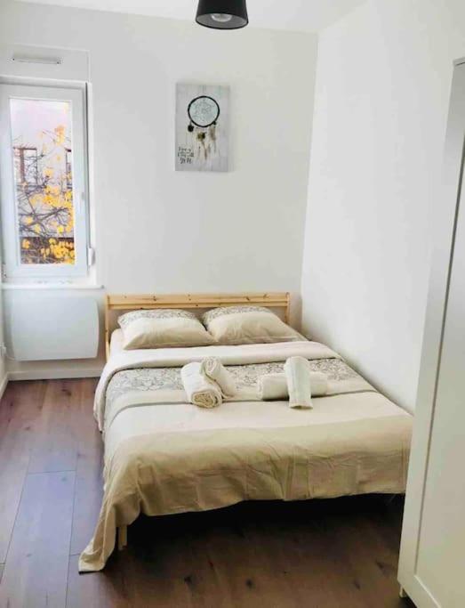 Rm-1 - Appartement F2 Au 1Er Etage Pour 1-3 Pers Mülhausen Exterior foto