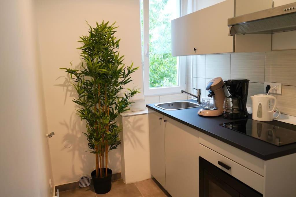 Rm-1 - Appartement F2 Au 1Er Etage Pour 1-3 Pers Mülhausen Exterior foto